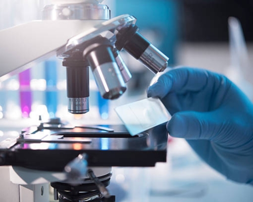 Forensic Pathology